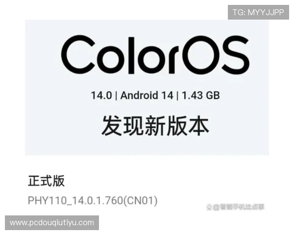 斗球app官网最新版本更新内容,带你了解每一次的功能优化与改进措施