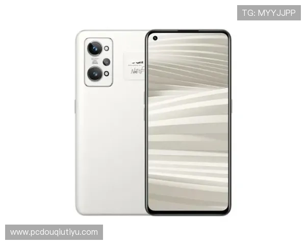 电脑端斗球直播app下载教程，解决用户在安装和使用过程中遇到的常见问题