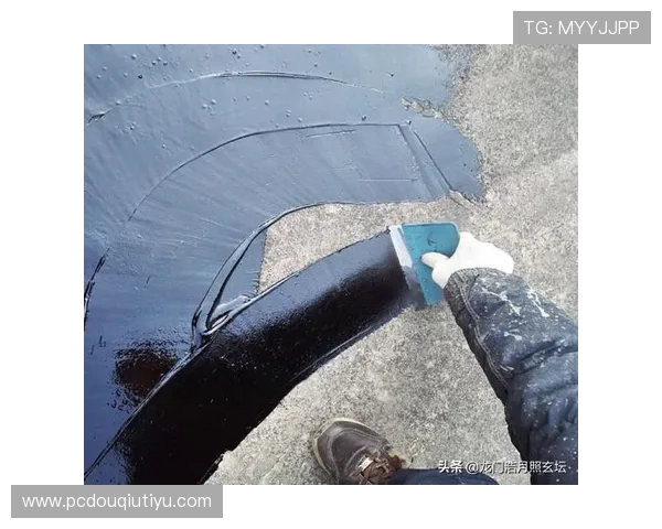 苹果手机用户如何快速下载安装斗球直播应用，完整安装步骤指南