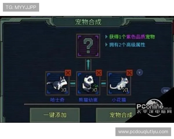 斗球vip版本更新内容详解新功能上线带来全新游戏体验与奖励机制